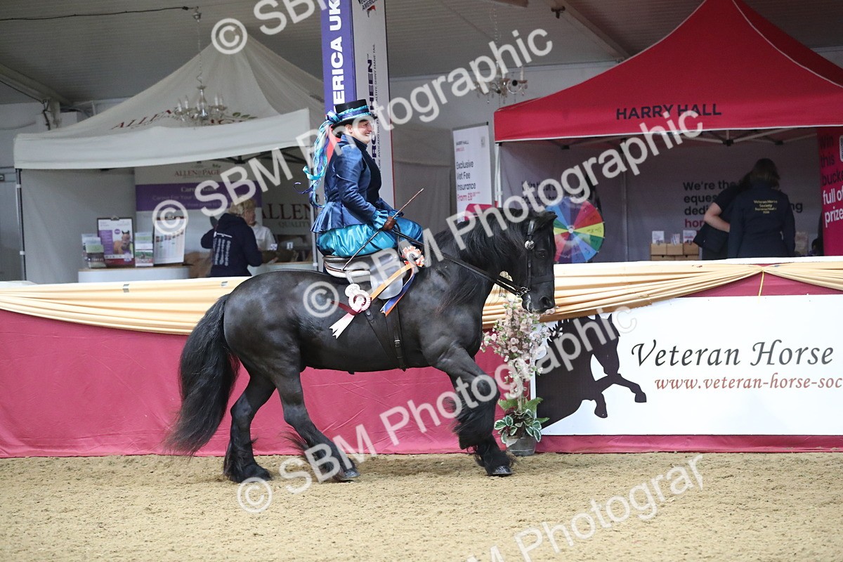 SBM_11649 - Class 105 Ridden Costume- Side Saddle