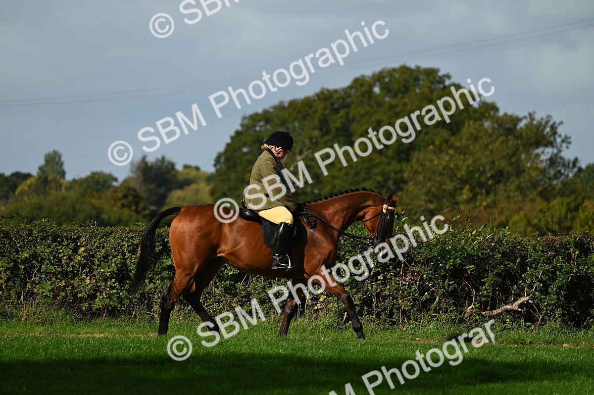 SBM_01331 - S2 - TSR Ridden Horse Showing