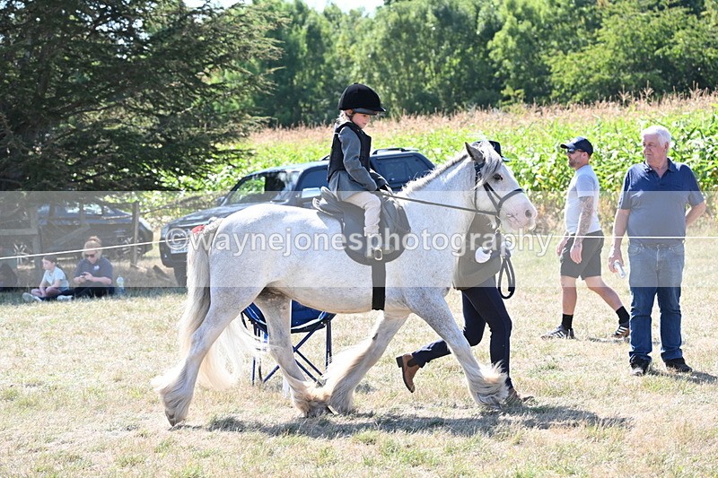 WJ6_7830 - Class 36 Lead Rein