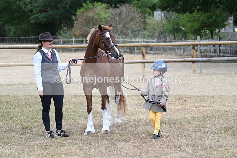 WJ7_8177 - Class 4 Prettiest Mare up to 14.2hh