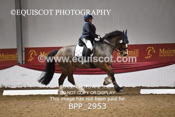 BPP_2953 - ELEM TEST 4