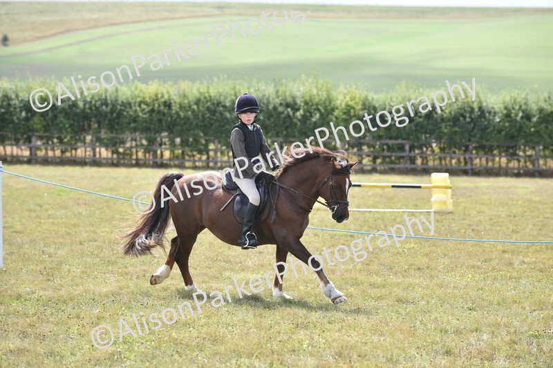 20250831-3934 - Class 11 - Working Hunter Pony 13hh and Under