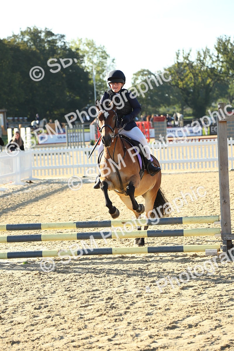 SBM_35006 - J5 - Junior Pony 50cm Championship