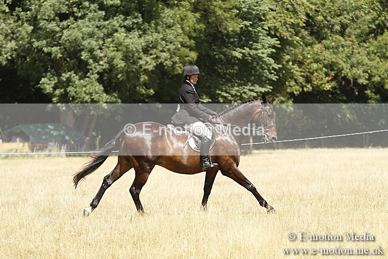 _BS_0798 - BVRC Show 2018 Ring 1