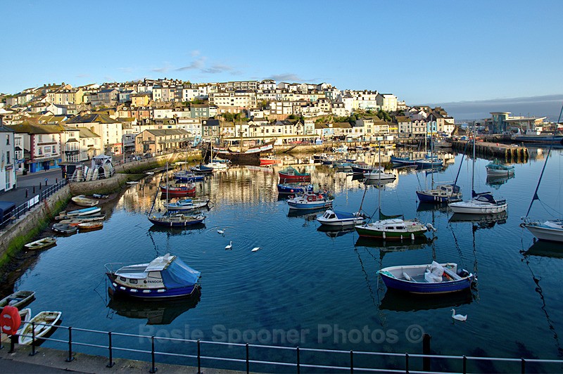 Early morning Brixham Harbour - Brixham and Broadsands