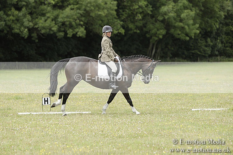 BVR160717-2077 - Class 4 & 5 Dressage 16/07/17