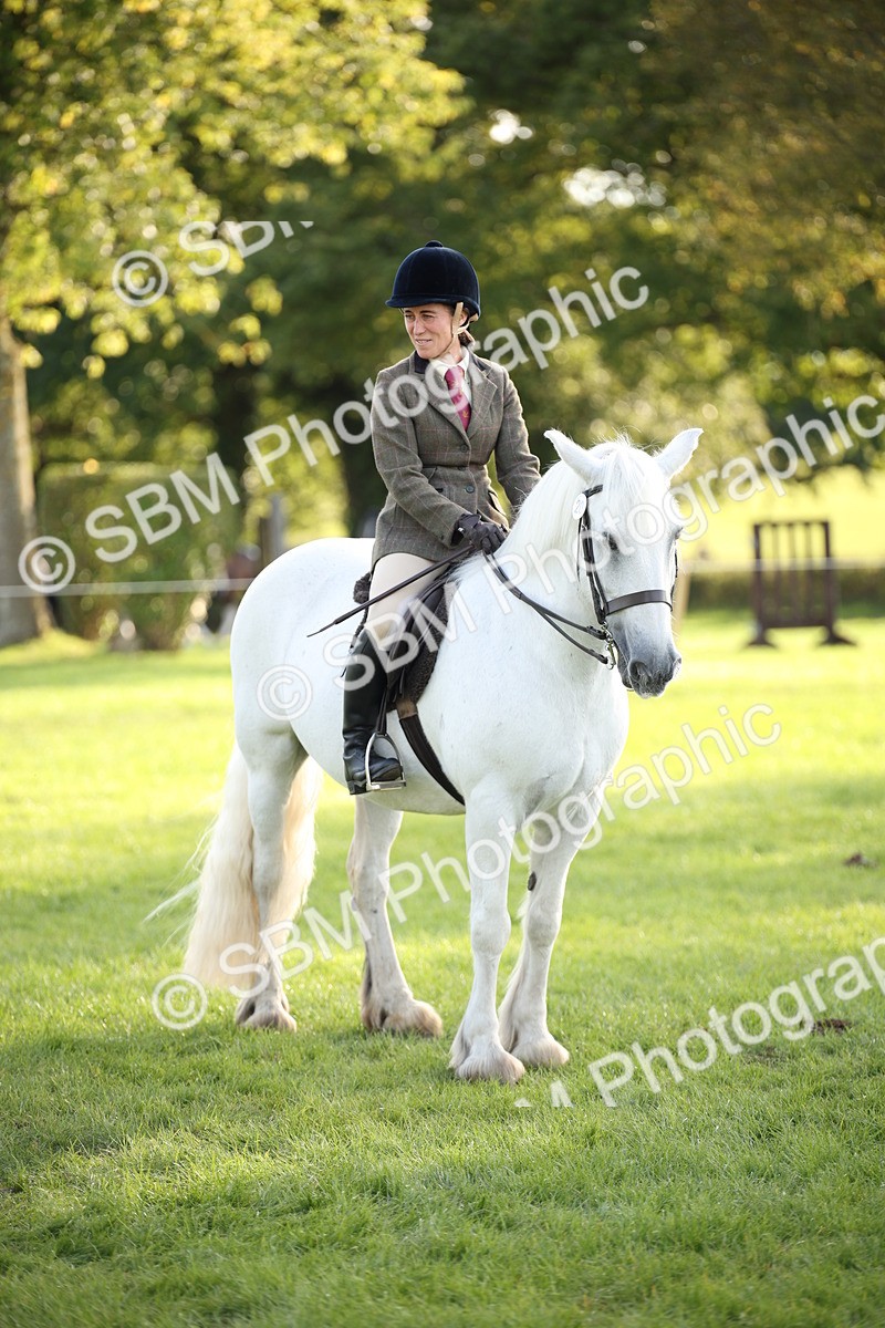 SBM_54327 - S27 - Mature Veteran - Ridden
