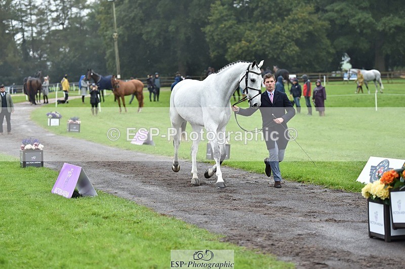 231018-121840-00197 - 027-IE.MR.MCGREGOR-Will.Furlong-TrotUp