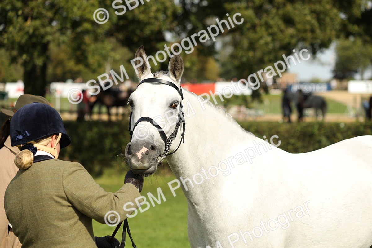 SBM_68621 - S40 - Junior Handler 9-12 Years