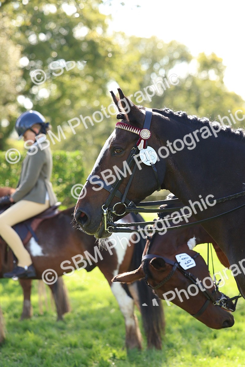 SBM_45288 - S27 - Young Veteran Ridden