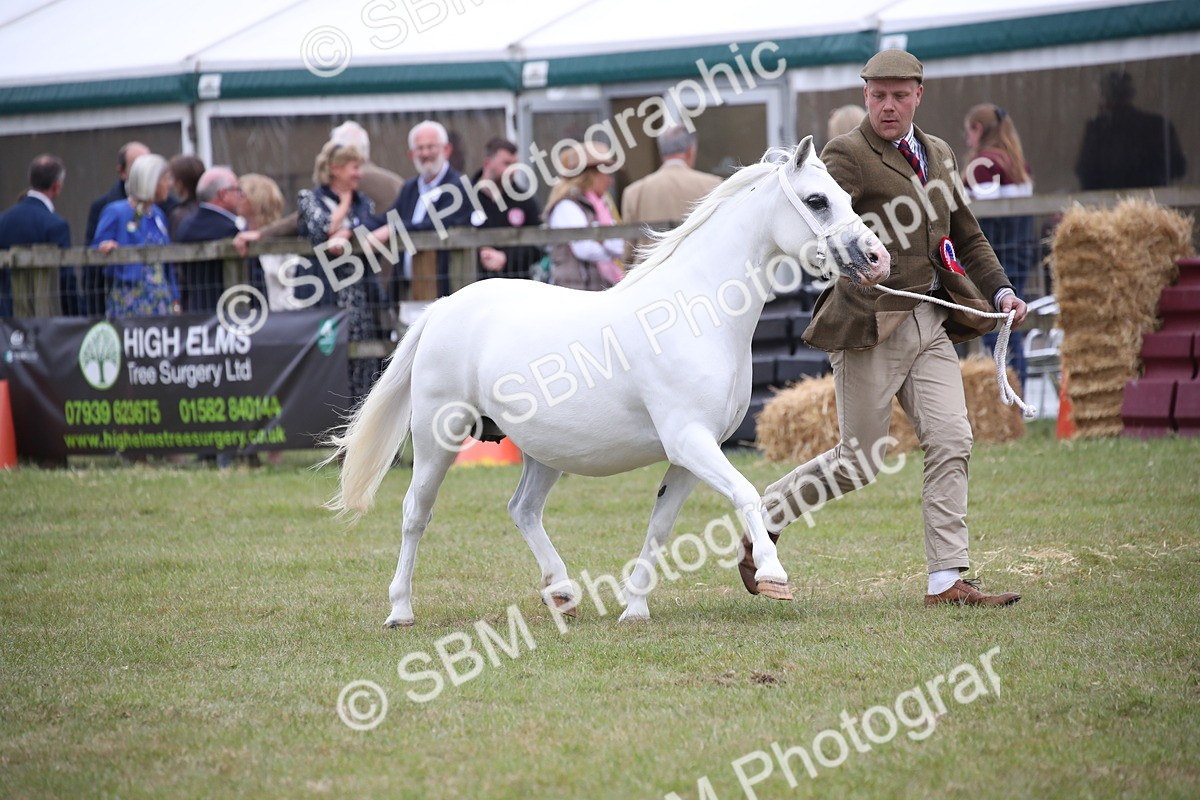 SBM_09835 - Ch 50 - Price Family Supreme In Hand