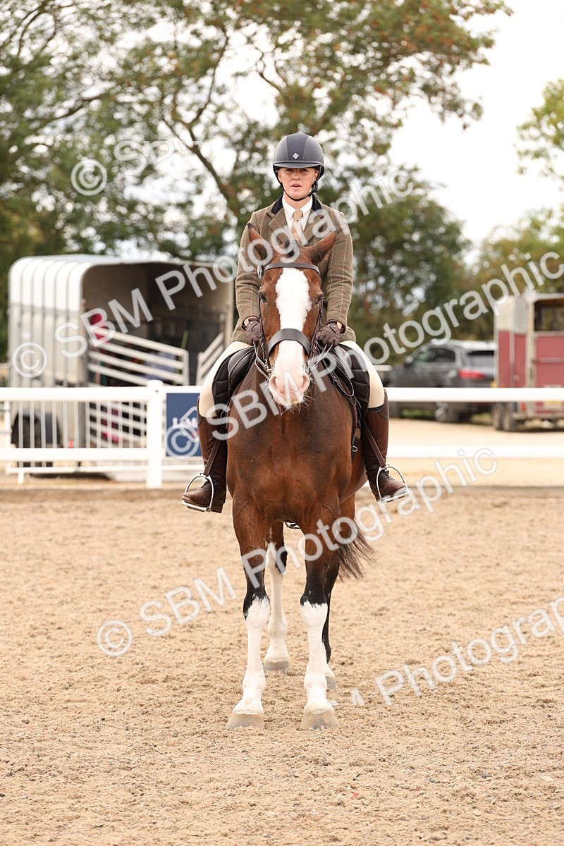 SBM_17258 - Class 213 - Ridden Hunter - Large