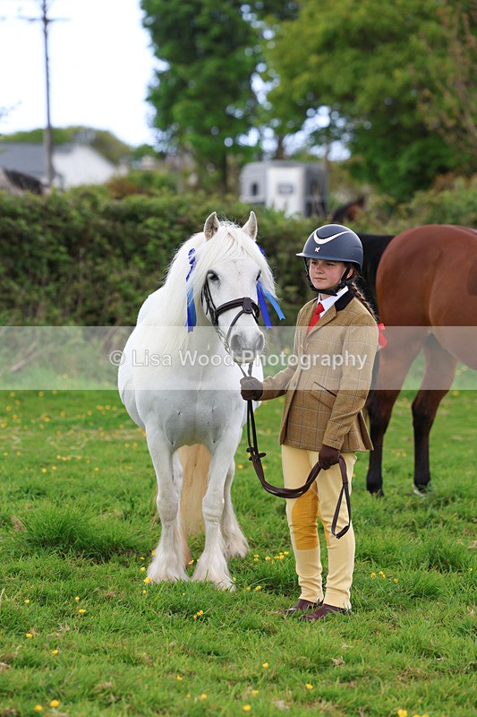 3E7A0856 - In Hand Championship