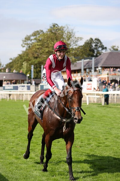 yr18082021r4-103 - Race 4 3.35pm Juddmonte International Stakes (British Champion Series race)