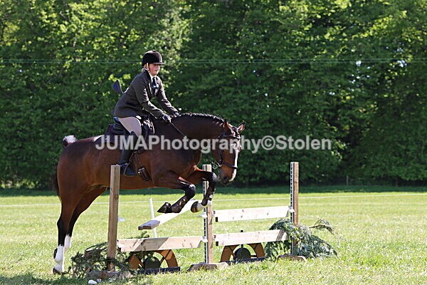 IMG_4480 - Working Hunter