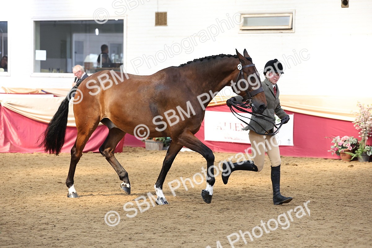 SBM_24145 - Class 905 - Supreme Final - Ridden Veteran
