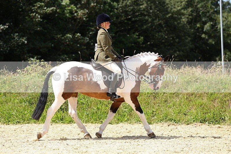 1X9A8656 - Class 22: Veteran