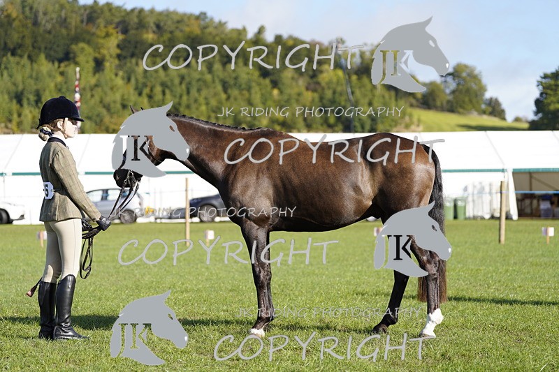 _DSC9509 - Class 8 & 17 Ridden Hunter & Ridden Hunter Pony