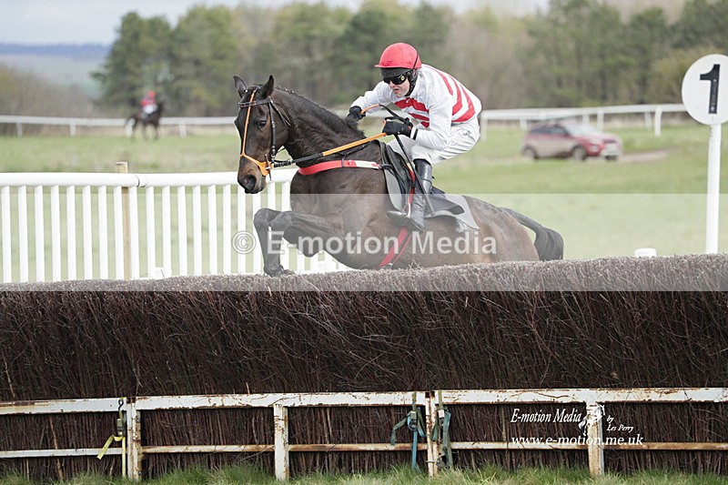 PtP 260323 0399 - New Forest Hounds Point-to-Point Larkhill 26/03/23