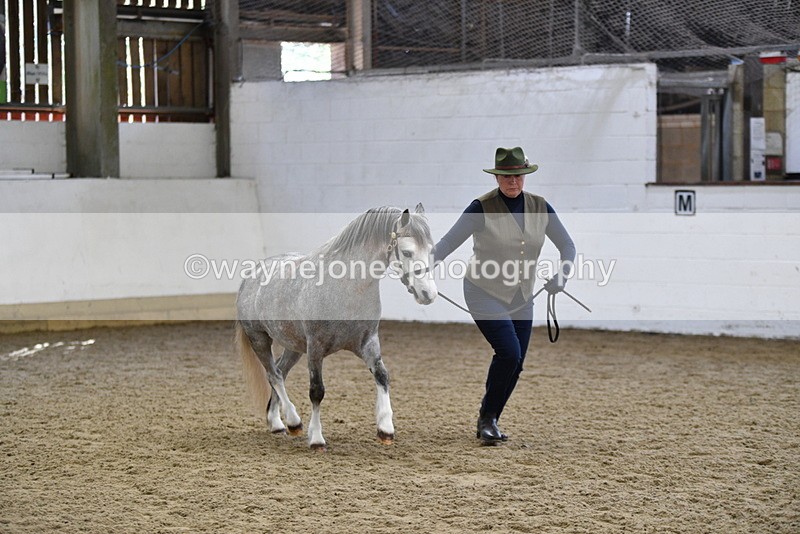 WJ5_5404 - Class 4 In hand M&M - small breeds