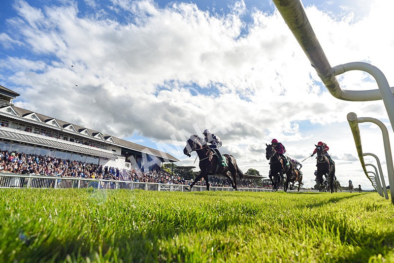 310526-Race 4-Brielle-3591 - Race 4 17.15pm Sky Bet Extra Places Handicap