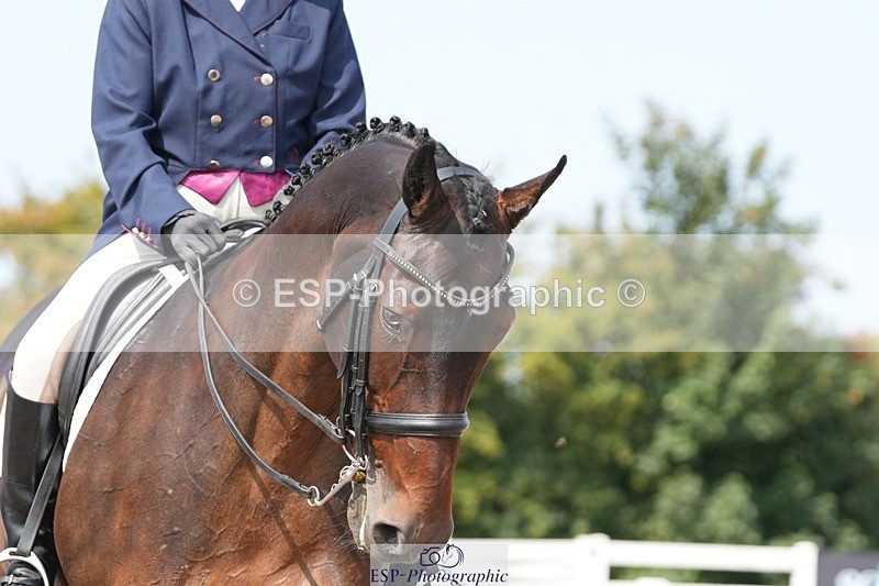 250815-120338-01045 - 015-Susan.LanzWellshead.Foxtrot