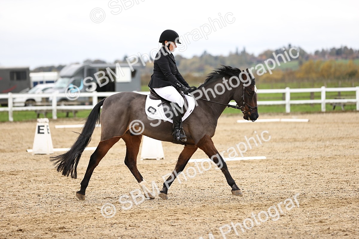 SBM_003511 - Class 11 - Elementary 1