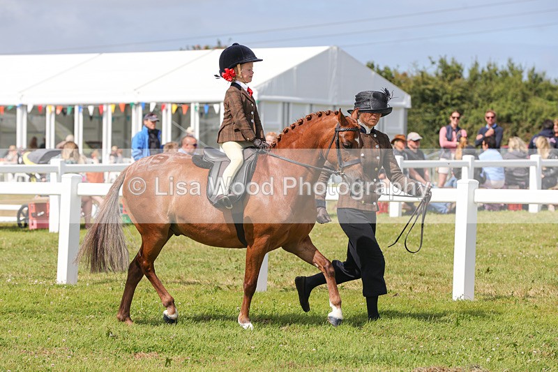 1X9A3829 - Plaited Mini Ridden Championship