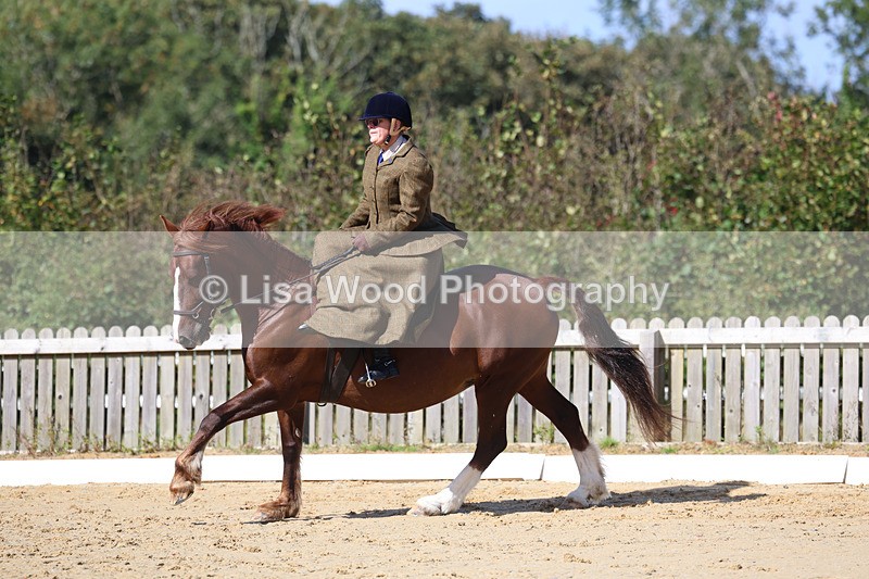 3E7A2786 - Class 4: Prelim 6 Section A Championship