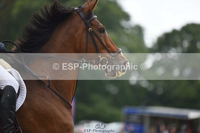 231001-125838-02585 - Cls 2 80cm 12.20 to End