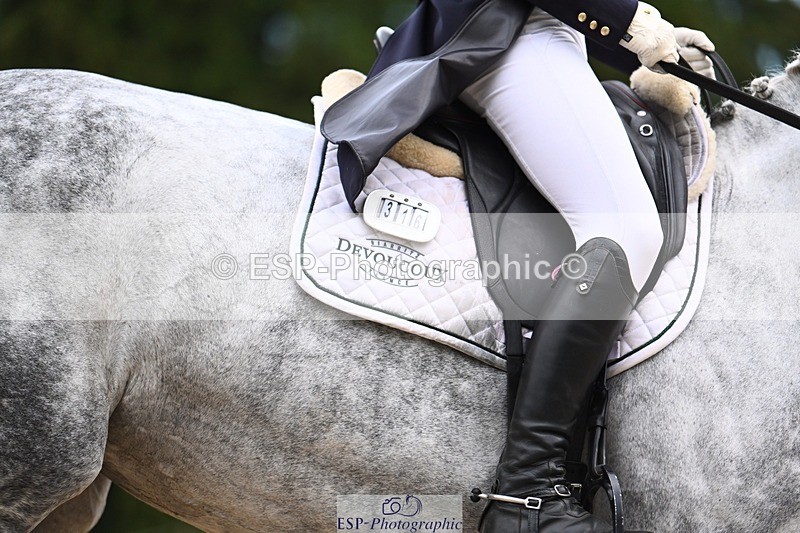 231020-165710-12434 - 316-I.ELLIE.JAY.BUMBLE-Henrietta.Ewell-DR