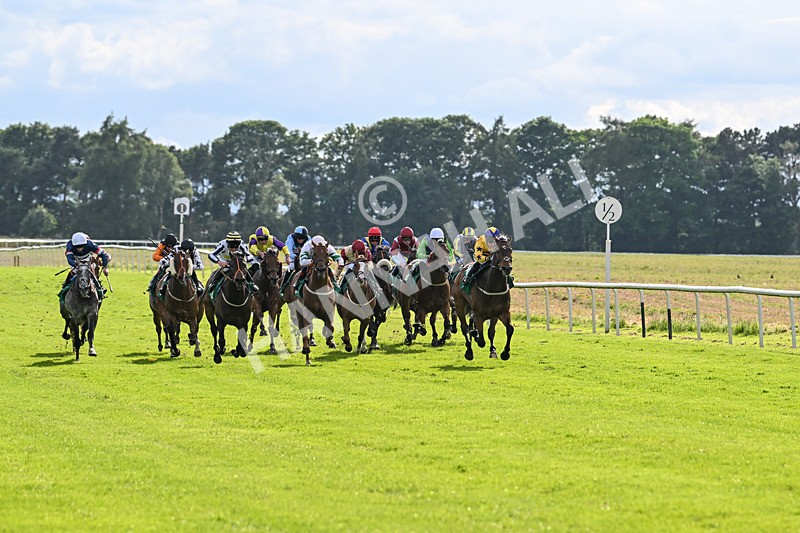 160624-Race 5-American Affair-8923 - Race 5