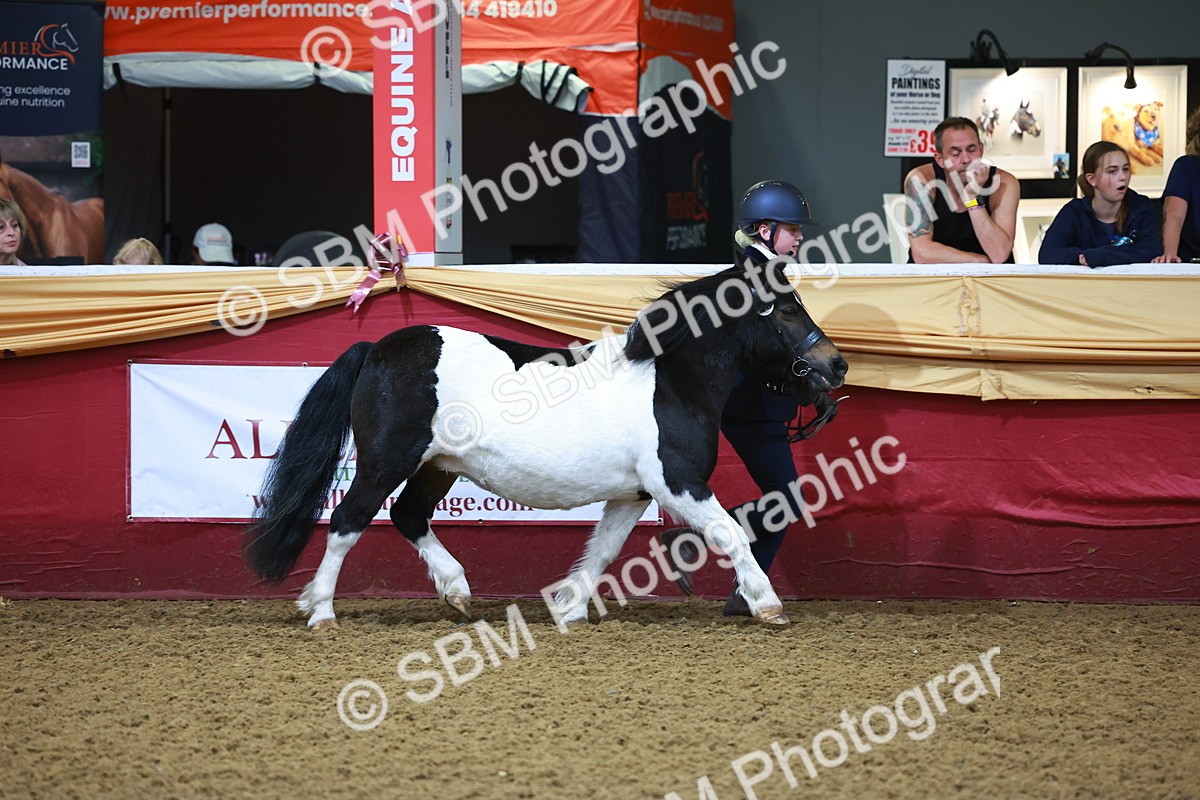 SBM_14686 - Class B - Junior Champ 11 to 16 Years