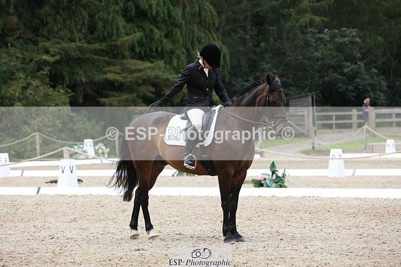 230812-122513-04009 - Cls 5 Novice Bronze 11.15 to 12.50 break