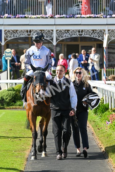 160525-Race 5-The Man-7082 - Race 5 4.15pm Irish Thoroughbred Marketing Handicap