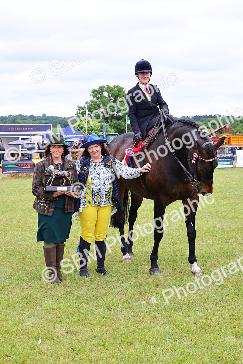 SBM_02890 - Class 9-11 Side Saddle including LIHS Rising Star Ladies Show Horse