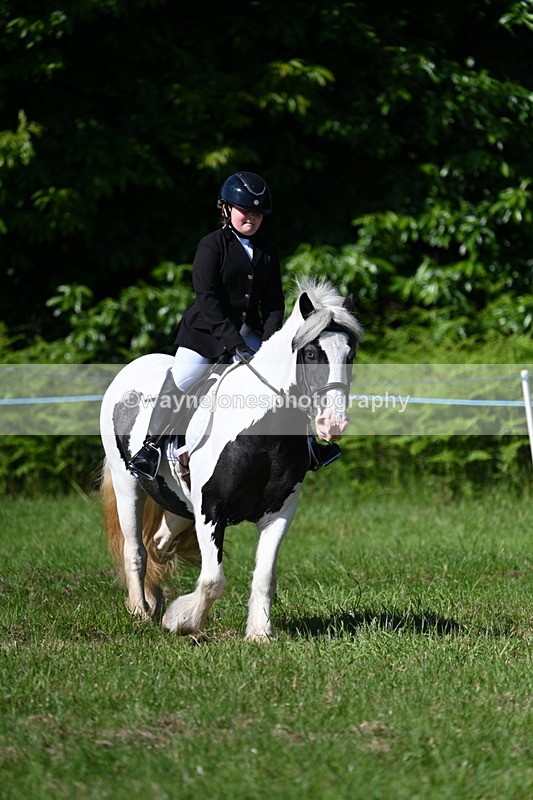 WJ7_0532 - Class 8 First Rally Pony