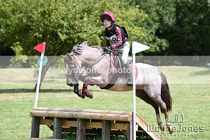 WJ6_9386 - Edited examples