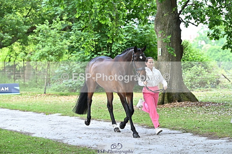 250521A-143725-00125 - A-011-Milly.Assheton-ILEXA