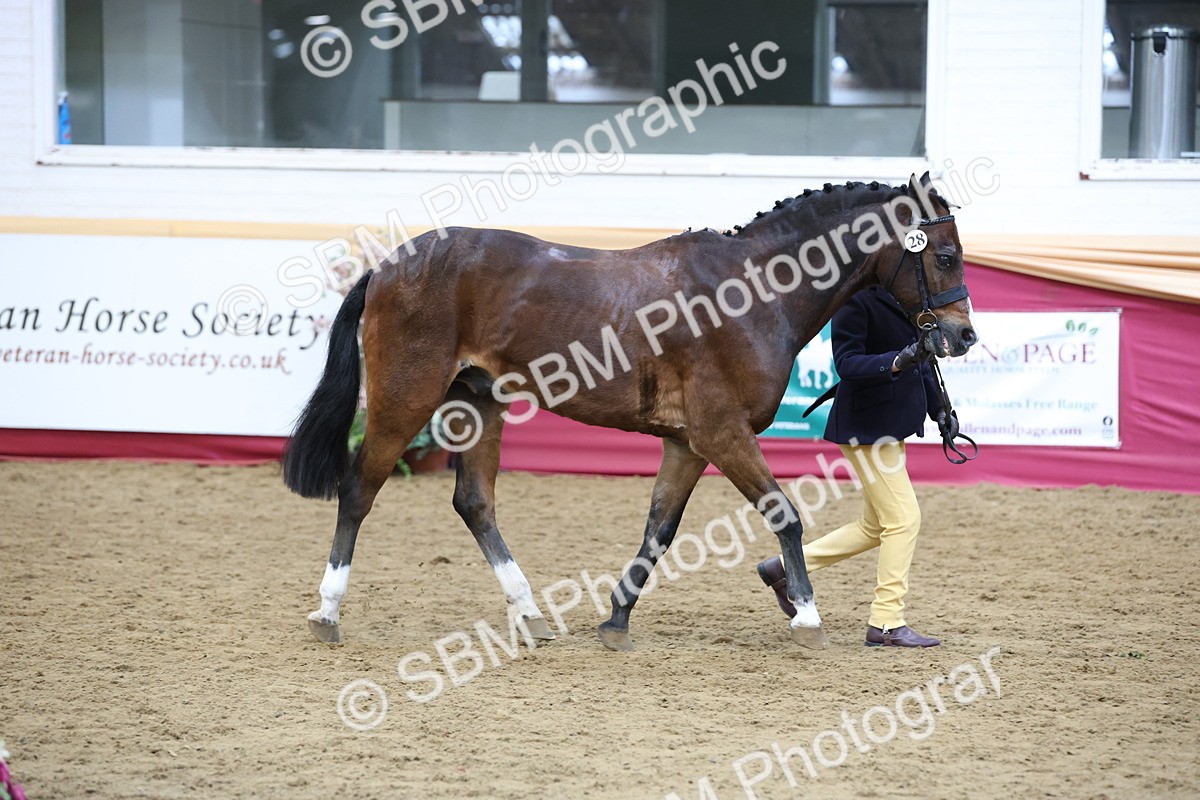 SBM_23592 - Class 904 - Supreme Final - Ridden Diamond