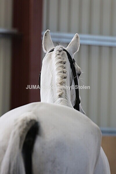 SIAL9976 - Indoor Classes