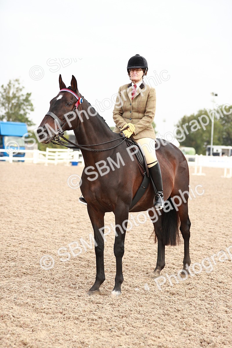 SBM_09442 - Class 202 Best Turned Out Ridden