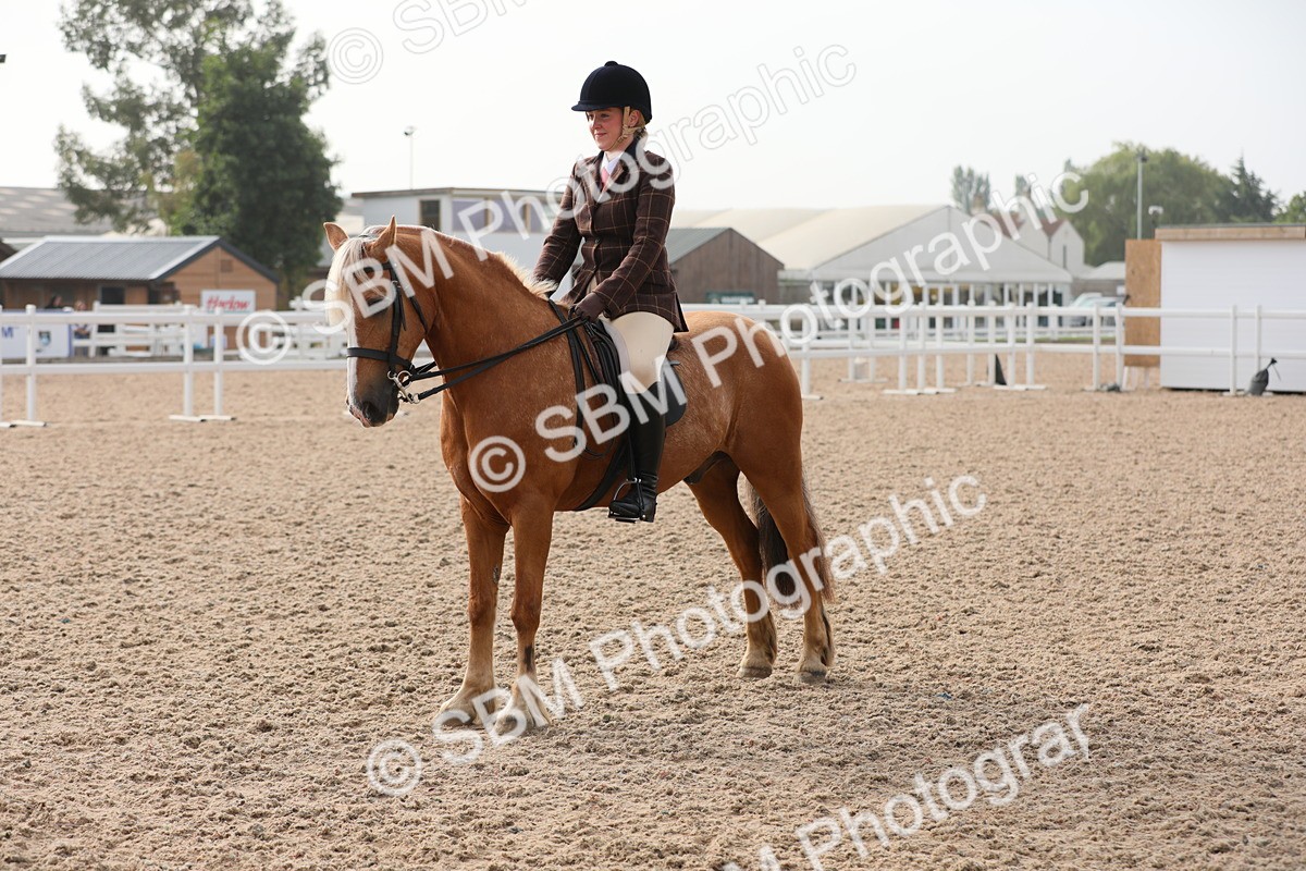 SBM_10085 - Class 302 Ridden M&M -Large Breeds