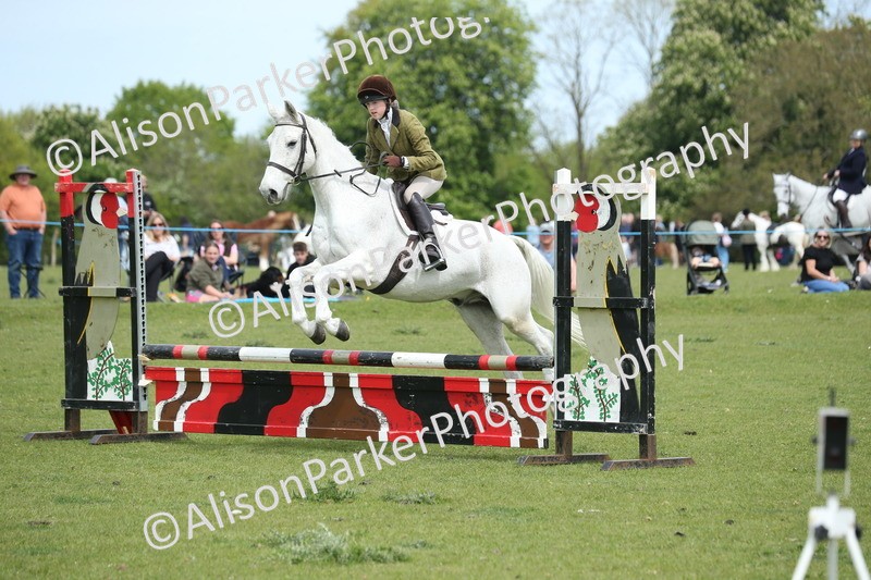 20260426-2070 - Class 15 - Absolute Novice 70cm