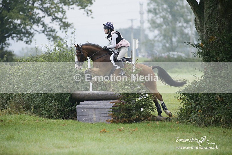 WWHT 171021 0142 - Novice Restricted (0.80m)  17/10/21