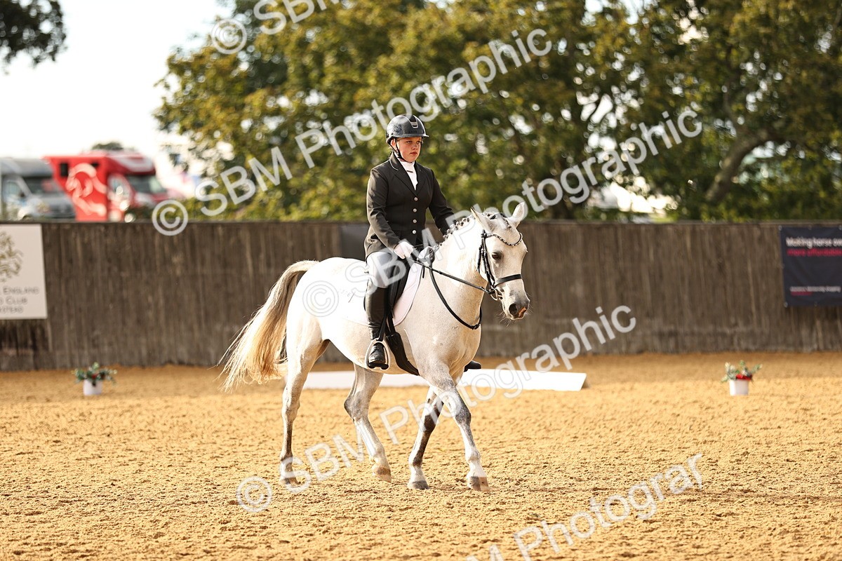 SBM_12088 - D9 Small Tour Championship Prelim 18