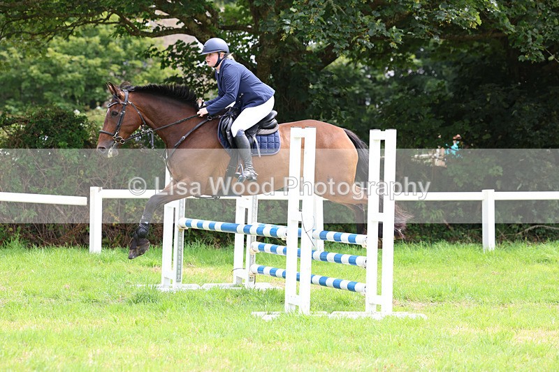 3E7A7368 - Class 5: Senior British Novice/90cm open