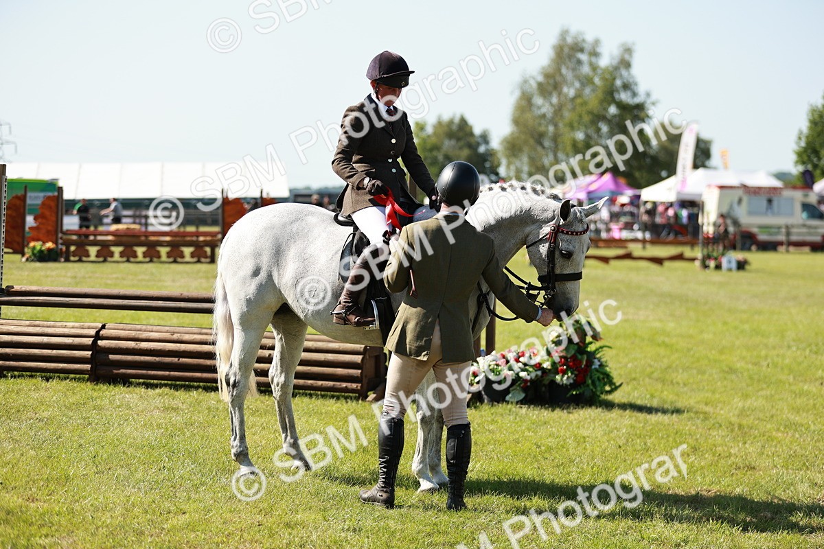 SBM_18939 - Class 114 - RIHS & SEIB Open Working Show Horse