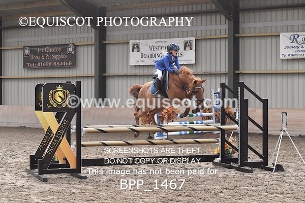 BPP_1467 - CLASS 4 Springboard 128cm/ 138cm Restricted Handicap