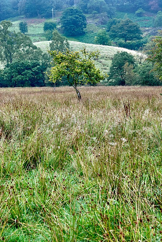 Little Langdales 2 - Lake District Landscapes